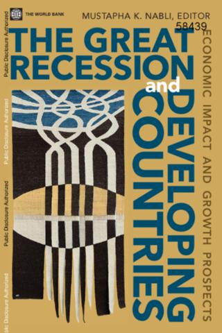 Read more about the article Introduction – The Great Recession and Developing  Countries : Economic Impact and Growth Prospects