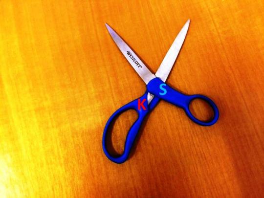 Read more about the article Secular Stagnation: A Working Pair of Scissors Needs Two Blades