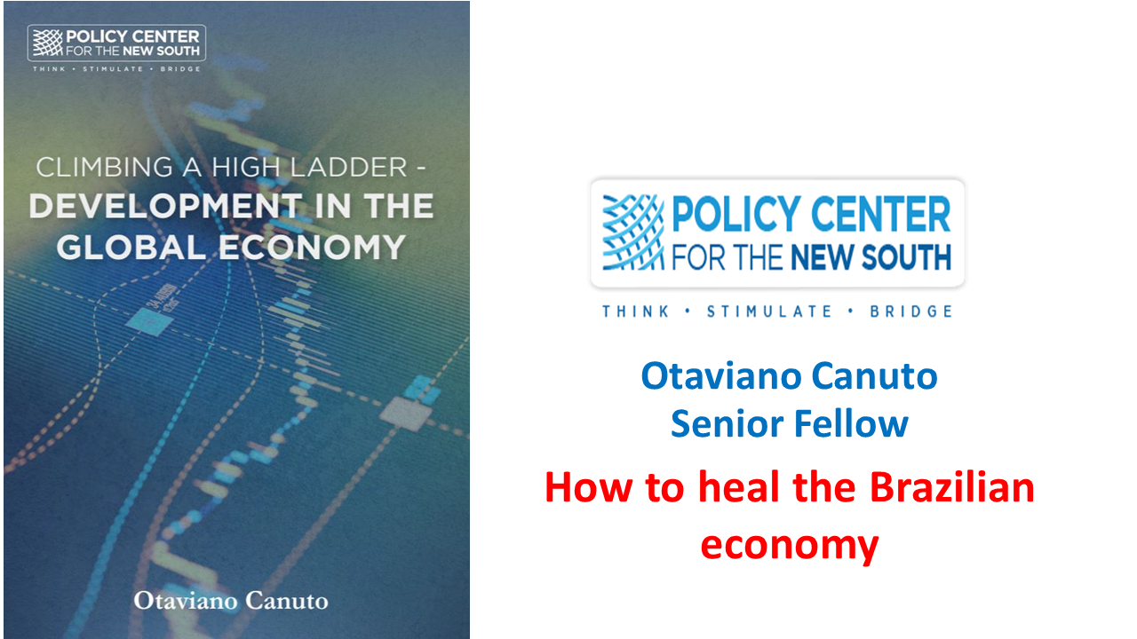 Read more about the article How to heal the Brazilian economy
