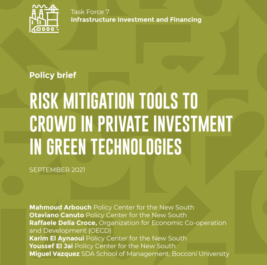 Read more about the article Risk mitigation tools to crowd in private investment in green technologies