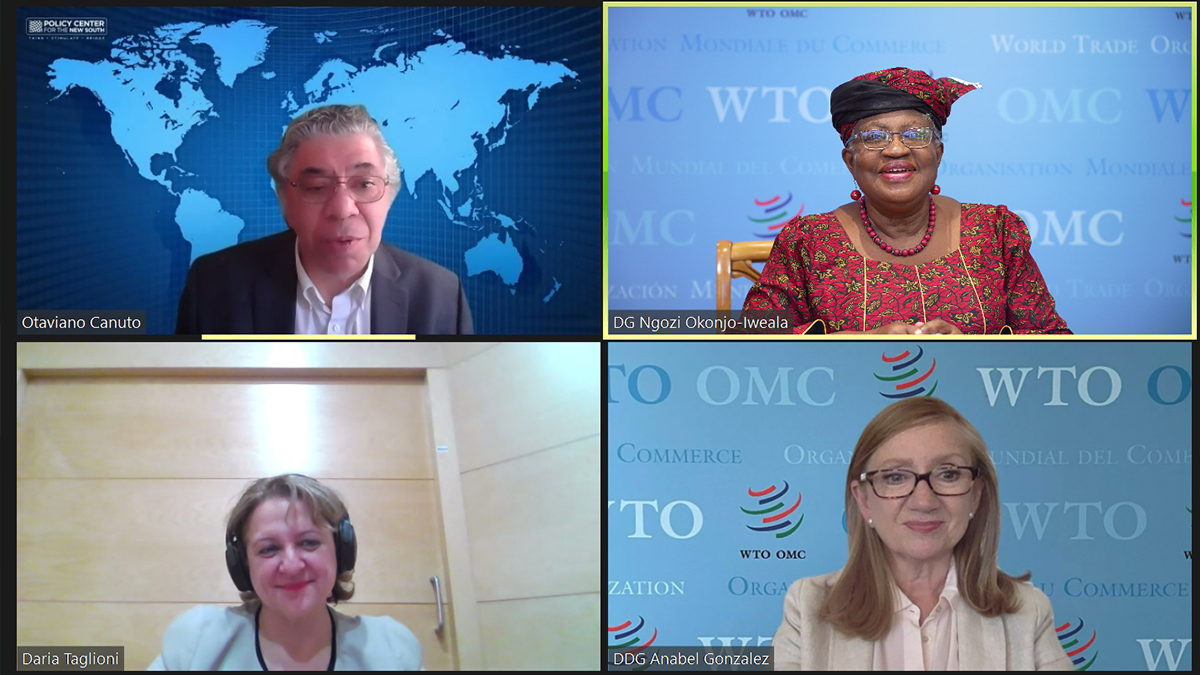 Read more about the article Videos: Trade-led development in an interdependent world (WTO) + The road to decarbonization (GIS)