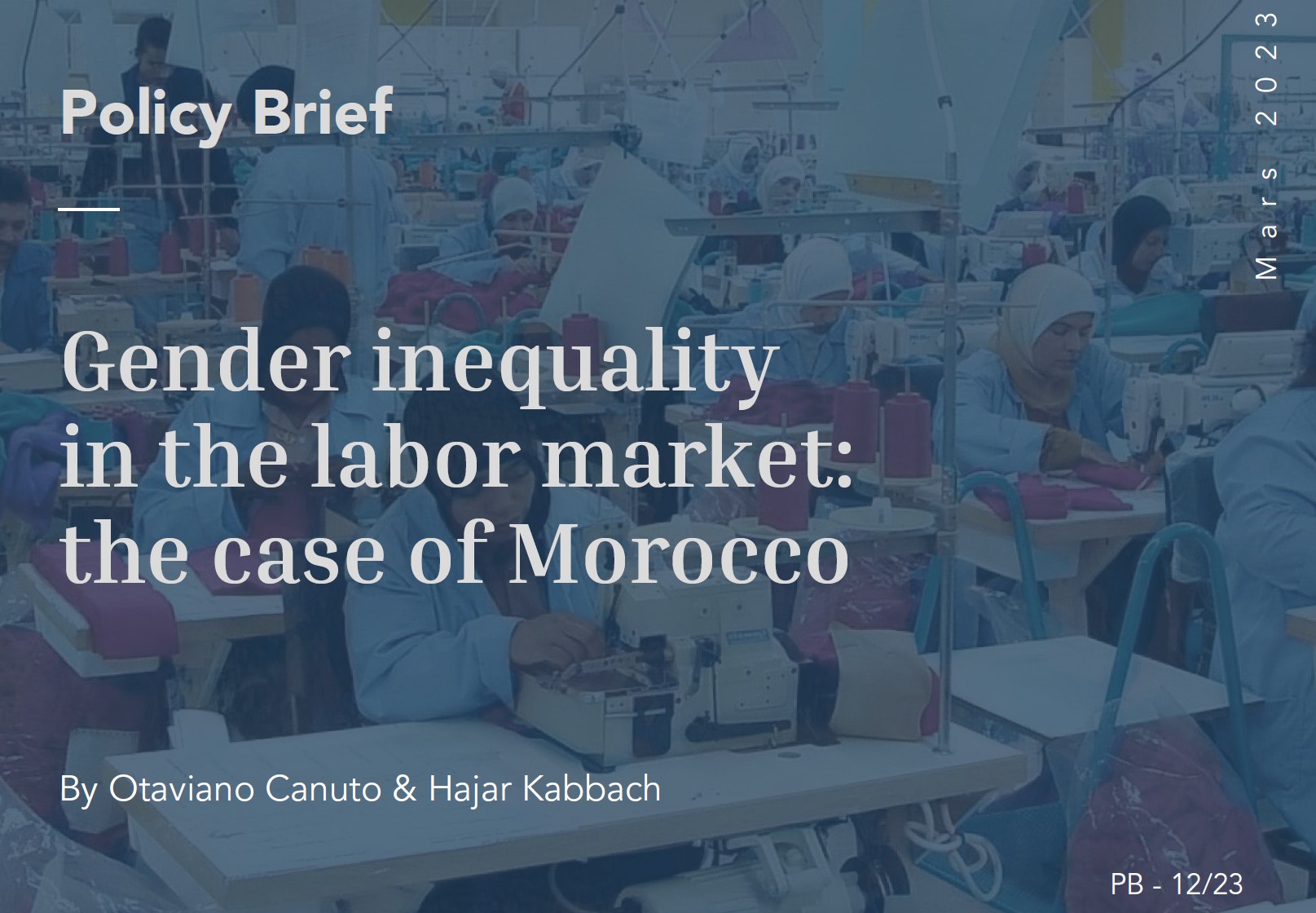 Read more about the article Gender inequality in the labor market: the case of Morocco