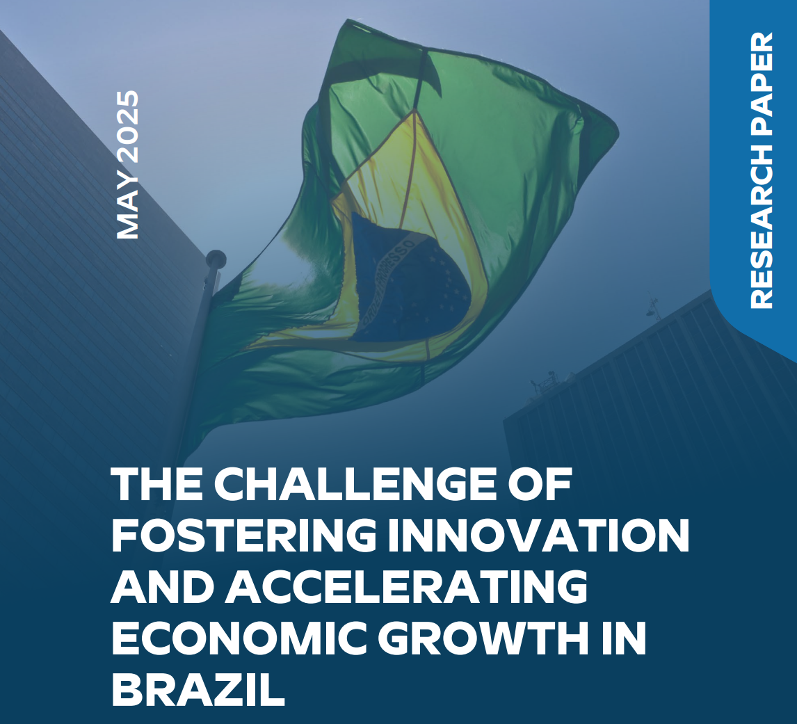 Read more about the article The Challenge of Fostering Innovation and Accelerating Economic Growth in Brazil