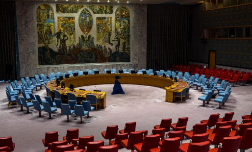 Read more about the article The Silent Majority of the New South: Small States, Davos 2026, and the Last Line of International Law